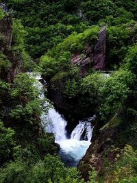 Scenic view of waterfall in forest