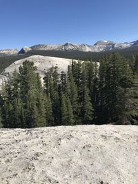 Scenic view of landscape against clear blue sky