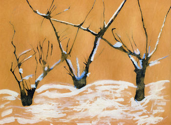 Close-up of bare tree in desert