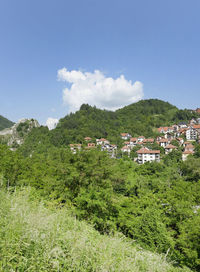 Scenic view of tree mountains against sky