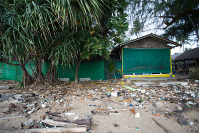 House by palm trees and plants outside building