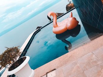 High angle view of man in swimming pool