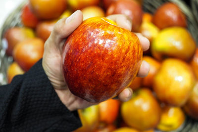 Close-up of hand holding orange