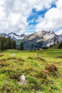mountain