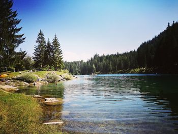 Scenic view of lake in forest against clear sky