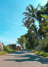 Rear view of man riding bicycle on road