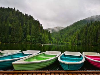 Scenic view of lake by trees against sky