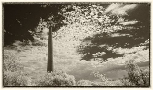 Low angle view of trees against cloudy sky