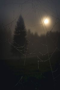 Close-up of spider on web against sky