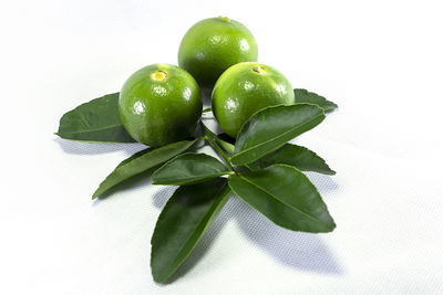 High angle view of fruits