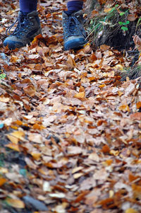 Low section of person standing on leaves during autumn