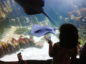 Fish swimming in aquarium