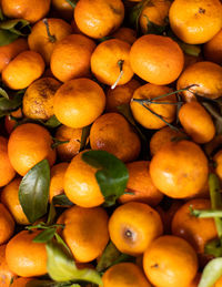 Full frame shot of oranges