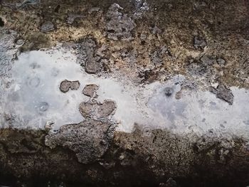 Full frame shot of frozen water