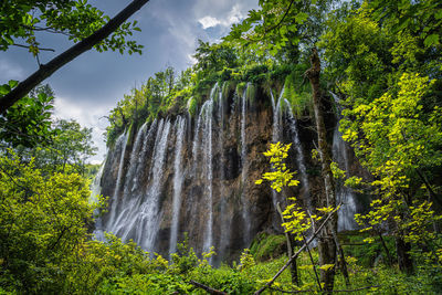 Scenic view of waterfall against trees in forest