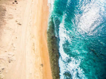 Scenic view of beach