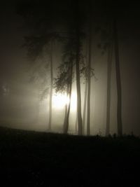 Silhouette trees in forest against sky during foggy weather