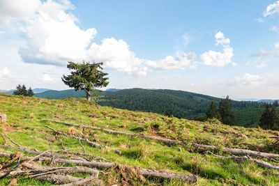 Scenic view of land against sky