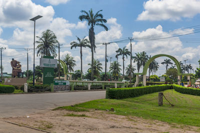 Palm trees and plants against sky