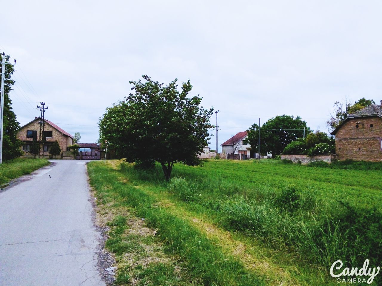 building exterior, grass, architecture, built structure, tree, sky, house, field, green color, grassy, clear sky, road, day, lawn, growth, outdoors, residential structure, copy space, the way forward, nature