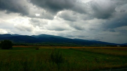 Scenic view of agricultural field against sky