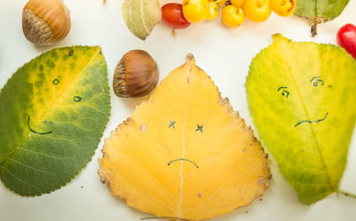 High angle view of fruits on leaf