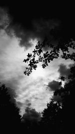 Low angle view of silhouette tree against sky