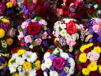 Full frame shot of colorful roses