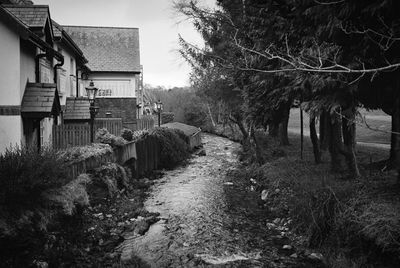 River amidst trees and houses against sky