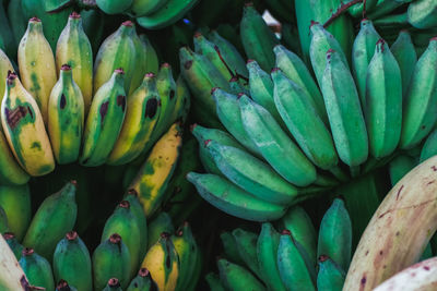 Full frame shot of fruits for sale in market