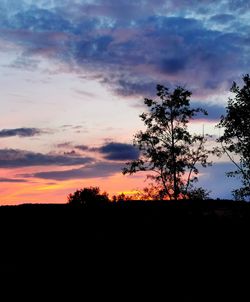 Silhouette trees against sky during sunset