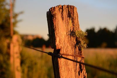 Close-up of wooden post on fence against sky