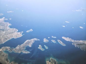 Aerial view of fish swimming in sea