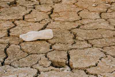 Full frame shot of cracked land