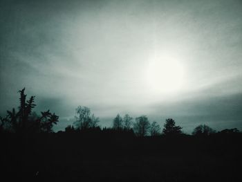 Low angle view of trees against sky