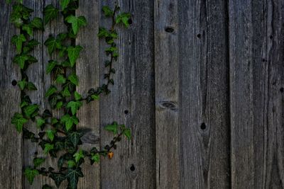 Full frame shot of old wooden fence