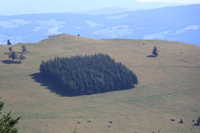 Panoramic view of landscape against sky