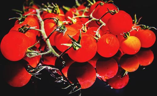 Close-up of red berries against black background