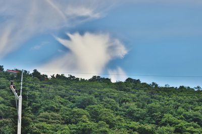 Panoramic view of forest against sky
