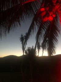 Silhouette palm trees against sky during sunset