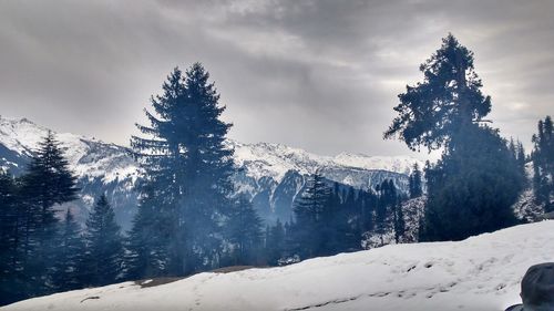 Snow covered trees against sky