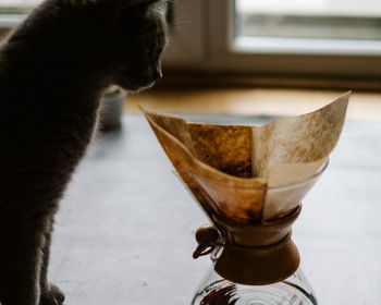 Close-up of cat drinking coffee in cup on table