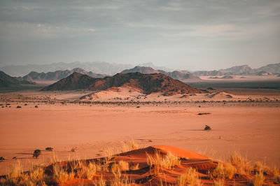 Scenic view of desert against sky