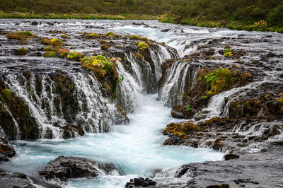 Scenic view of waterfall in forest