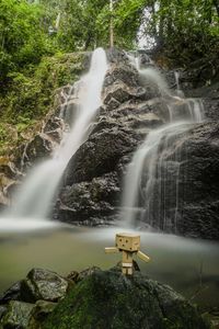 Scenic view of waterfall in forest