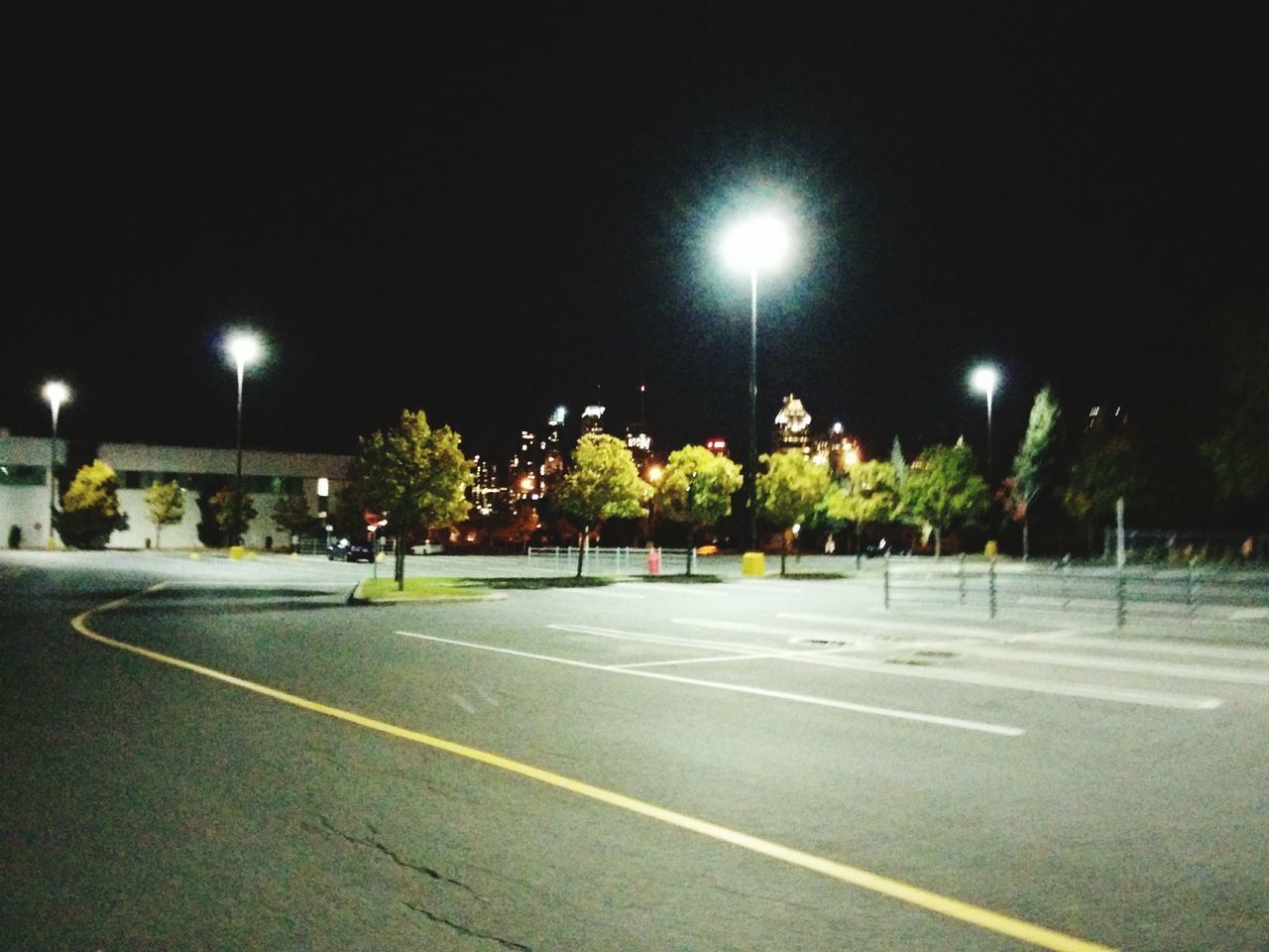 night, street light, illuminated, tree, lighting equipment, no people, sky, outdoors