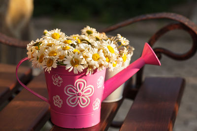 Close-up of white flower on table