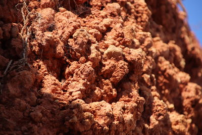 Full frame shot of chocolate