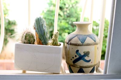 Close-up of potted plant on window sill