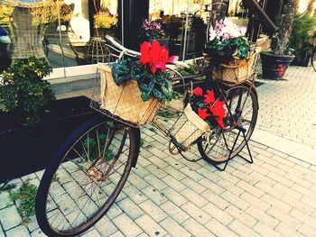 Bicycle parked against wall